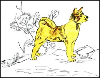 a drawing of a yellow dog. Dibujo de un perro amarillo.